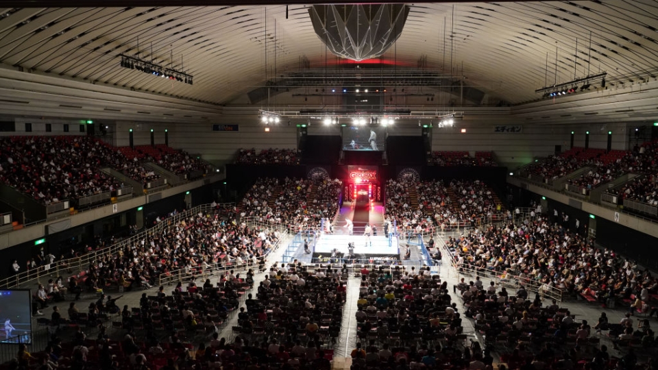 Wrestling arena