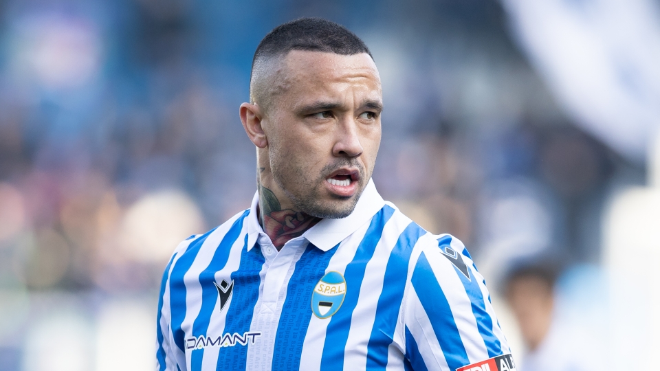 Radja Nainggolan