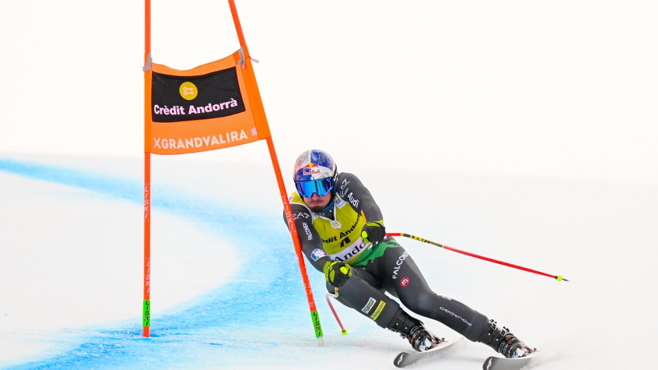 Dominik Paris, Sci Alpino Coppa del Mondo