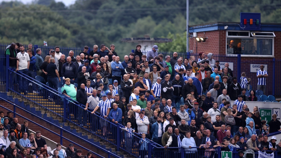 Tifosi Sheffield Wednesday