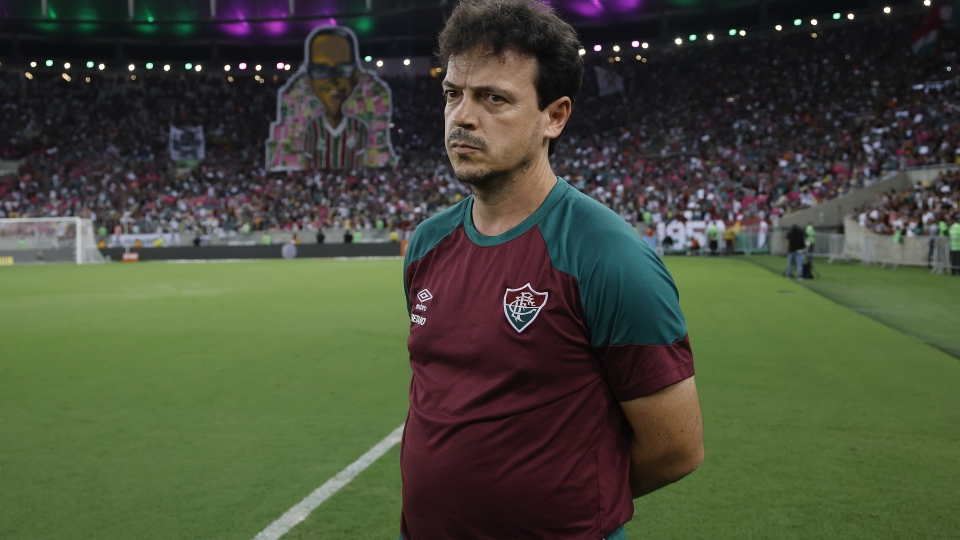 Fernando Diniz, Fluminense