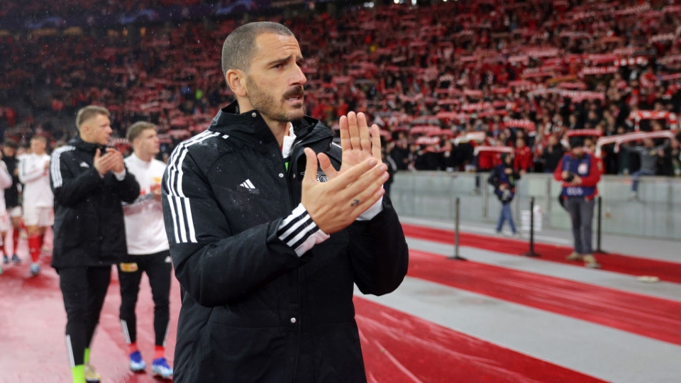 Bonucci Bonucci