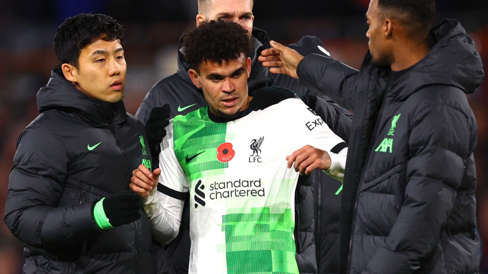 Luis Diaz, Liverpool, Calcio internazionale