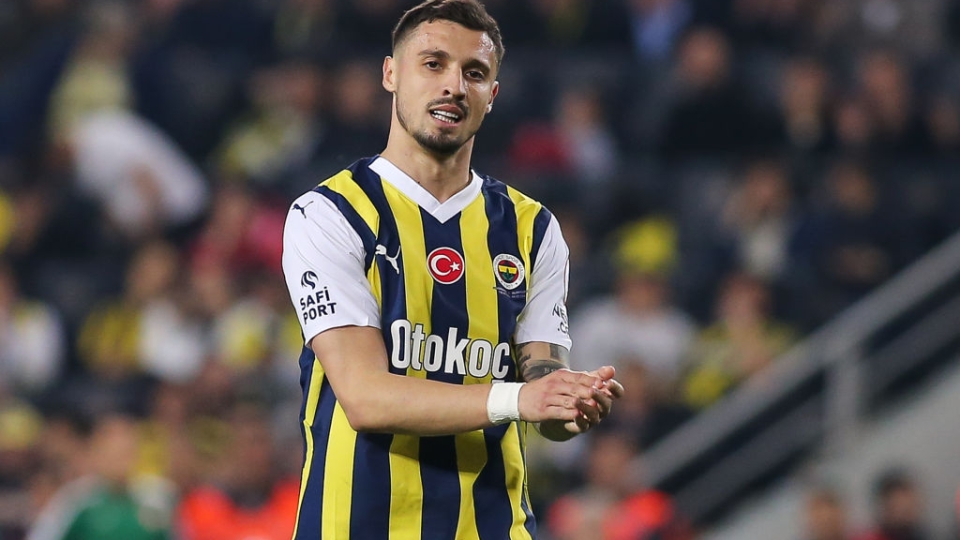 Rade Krunic, Fenerbahce