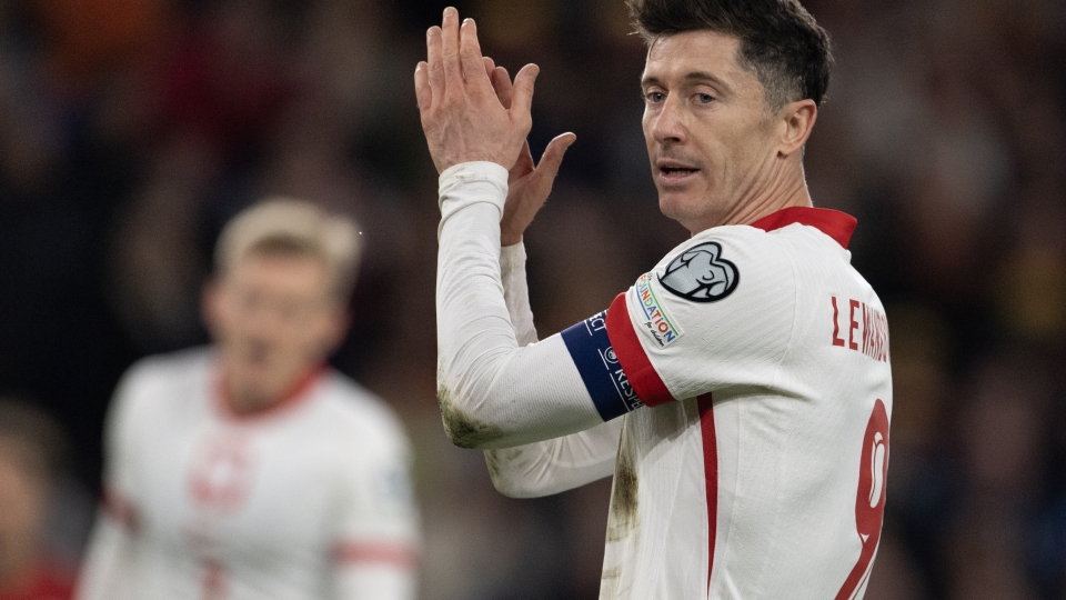 Robert Lewandowski, polonia