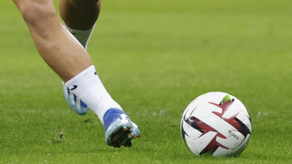 Palla da calcio