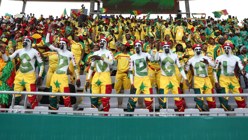 Tifosi Senegal