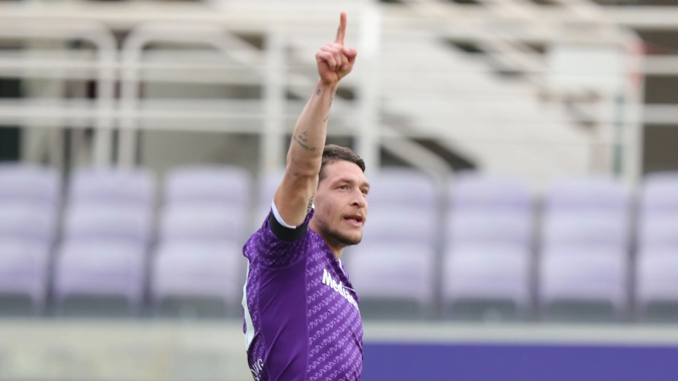 belotti, fiorentina
