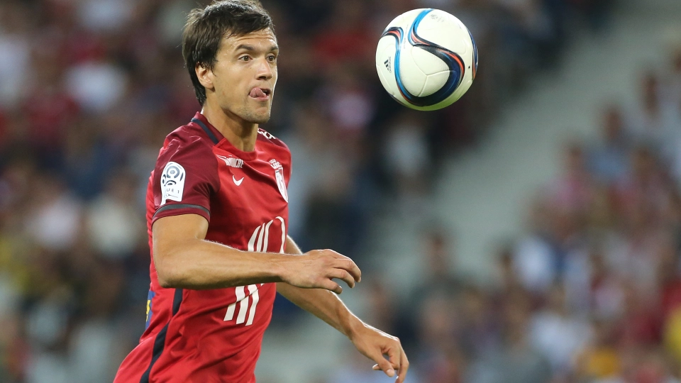 Renato Civelli, Ligue 1