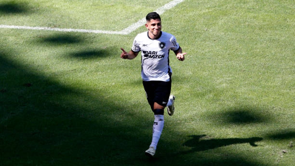 Jefferson Savarino, Botafogo