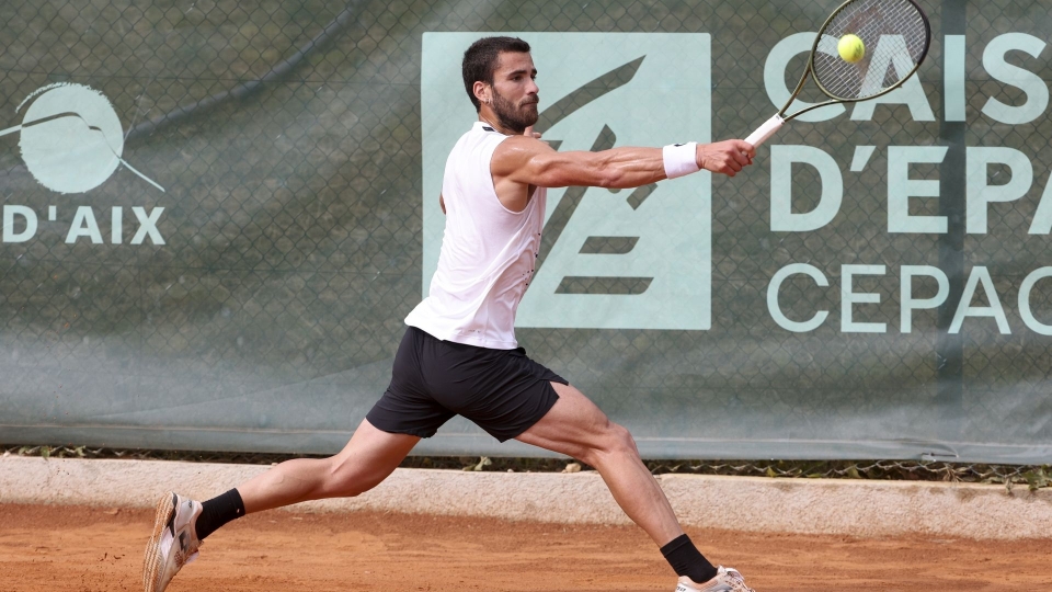 Andrea Pellegrino