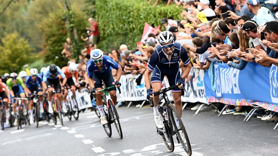 Alaphilippe
