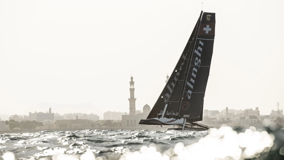 Alinghi
