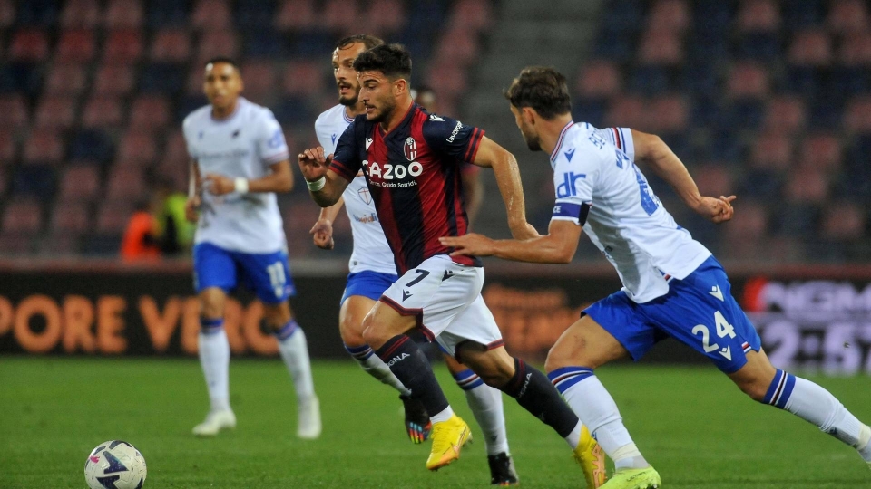 Bologna-Sampdoria 1-1