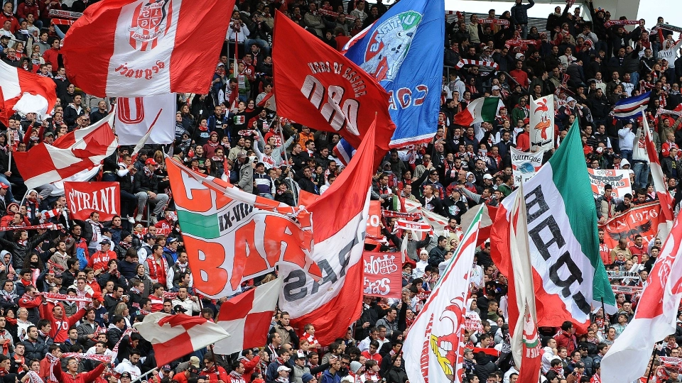 bari tifosi