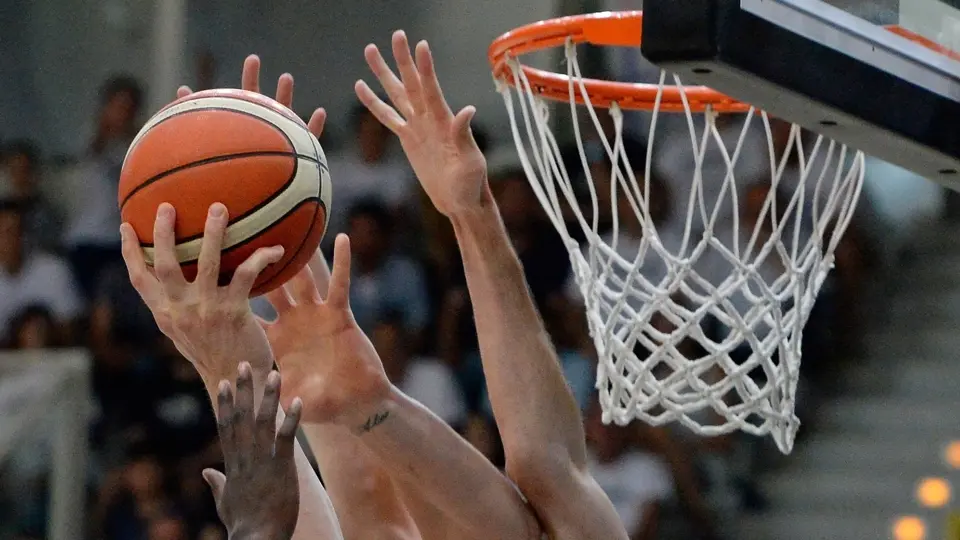 basket