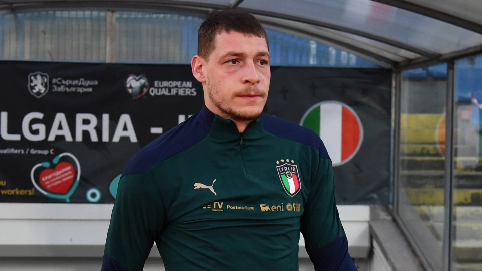Belotti