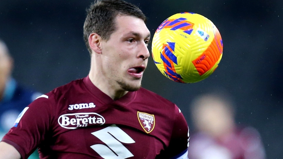 Belotti