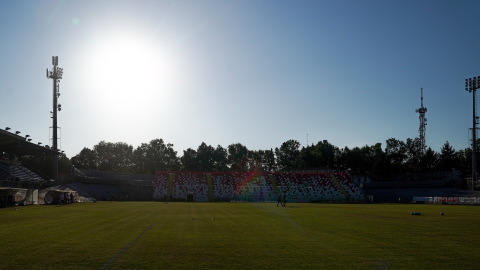 Carpi Carpi