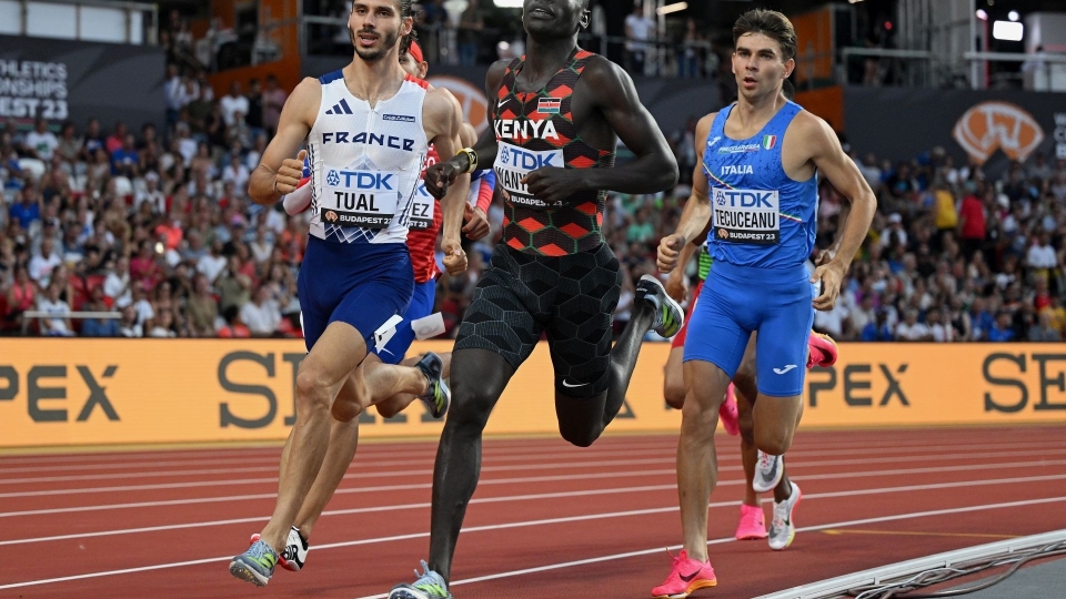 Catalin Tecuceanu