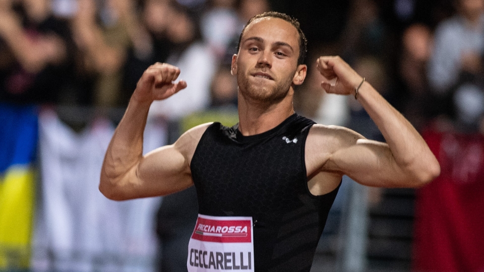 Ceccarelli