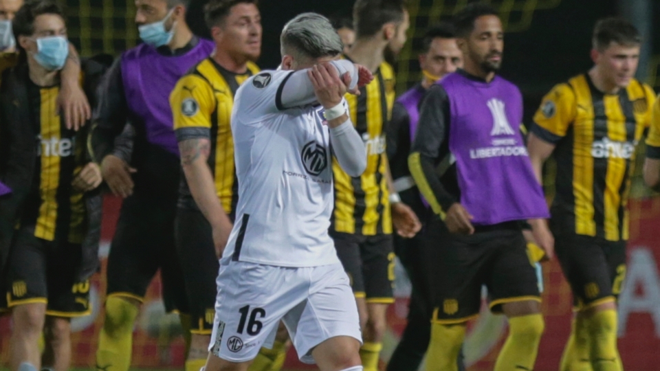 Colo Colo