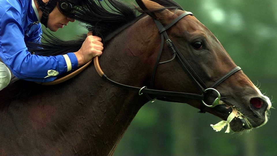 Frankie Dettori