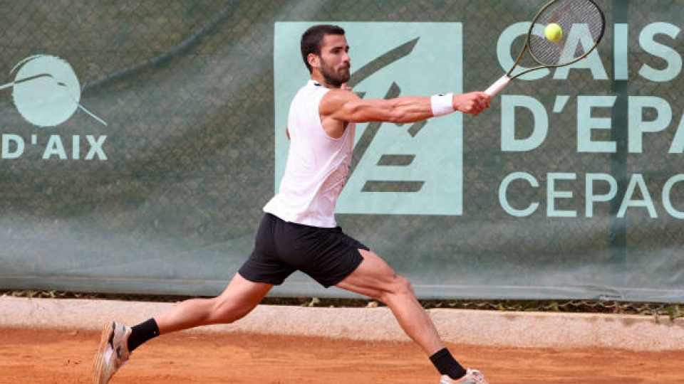 Andrea Pellegrino