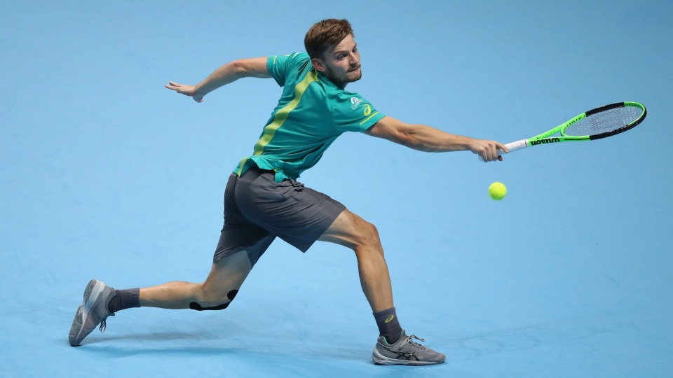 Belgian tennis player David Goffin Goffin-Cropped