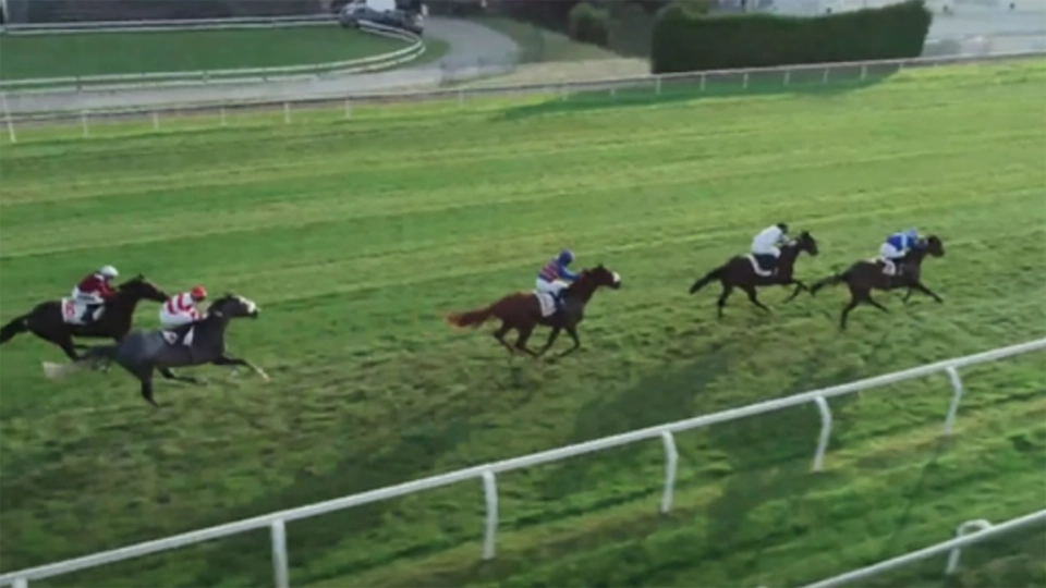 Gran Premio Federico Tesio Gr2