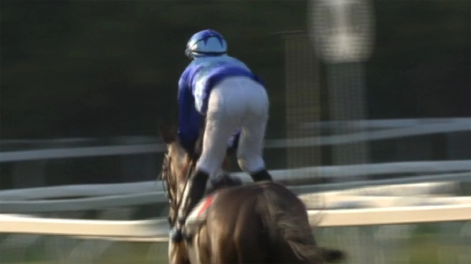 Gran Premio Federico Tesio Gr2