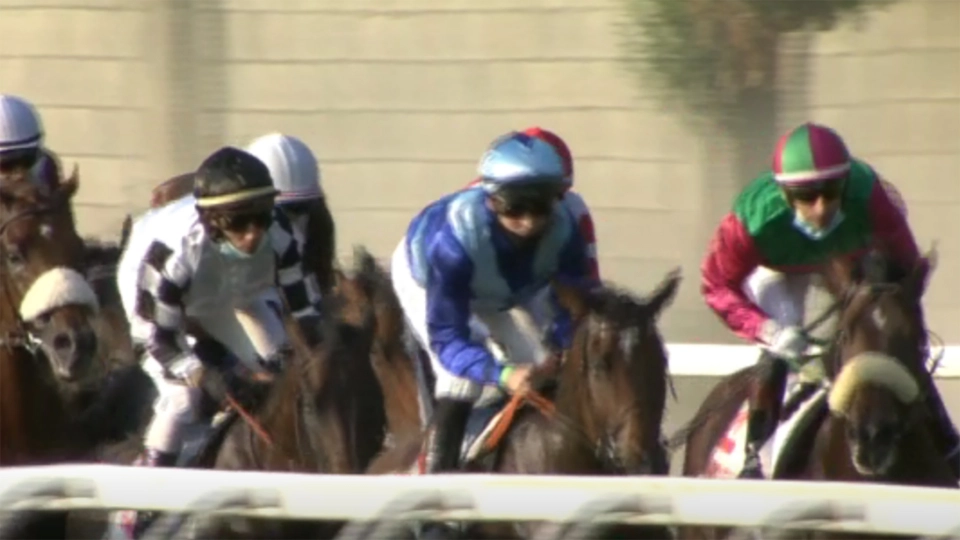 Gran Premio Federico Tesio Gr2