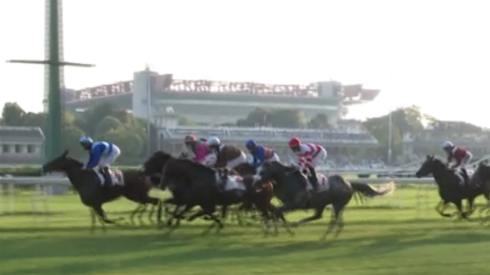 Gran Premio Federico Tesio Gr2