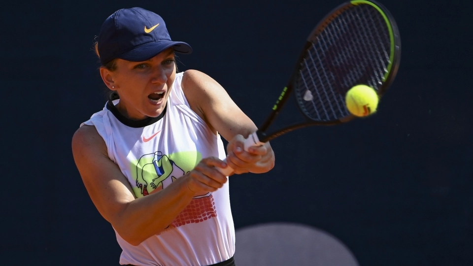 halep