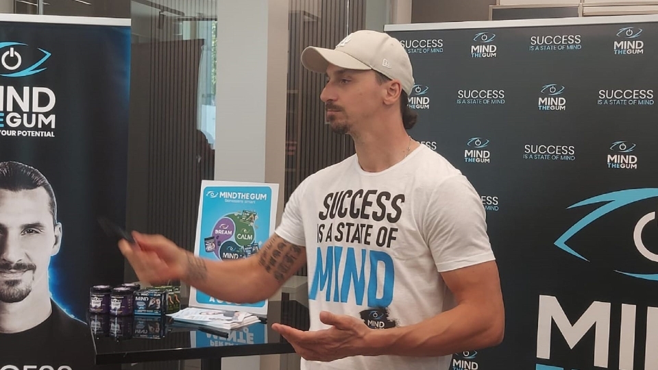 ibrahimovic ibrahimovic