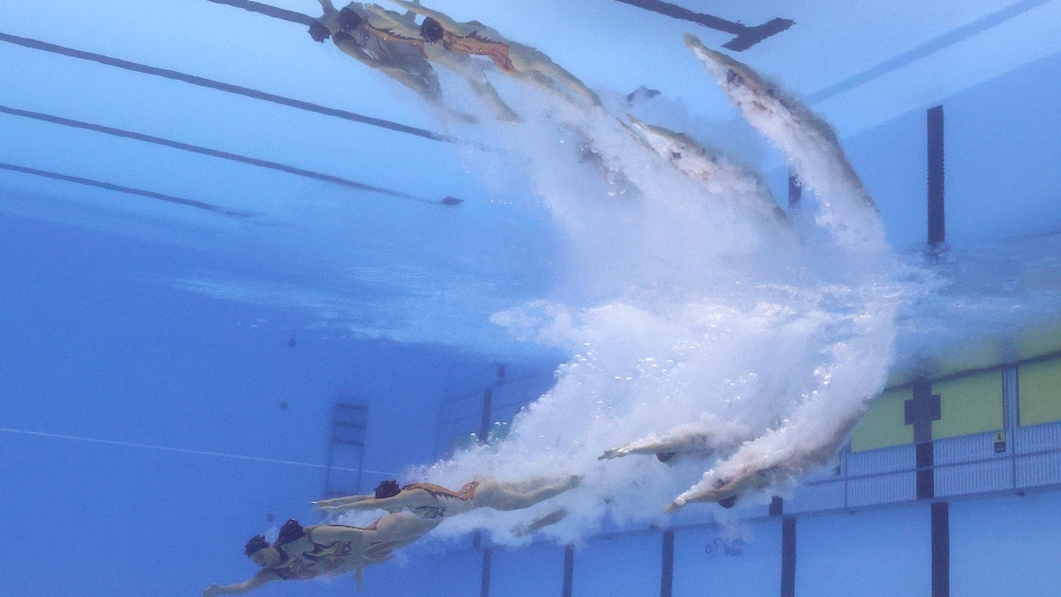 Italia nuoto artistico squadra