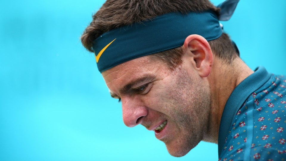 Juan Martin del Potro