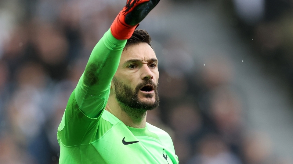 lloris