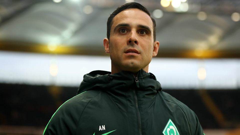 Nouri - Cropped