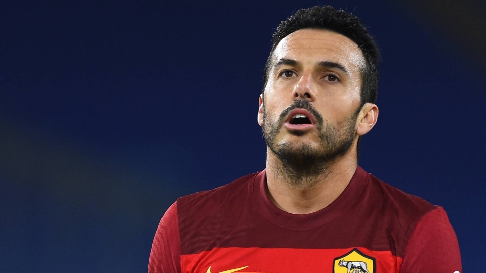 Pedro Pedro
