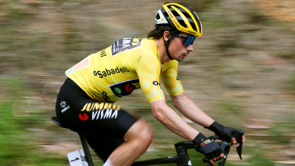 primoz roglic