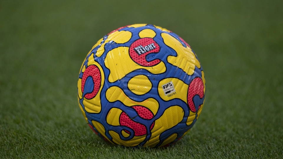 Pallone generico