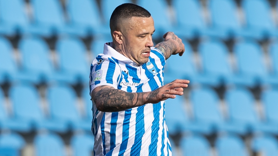 Radja Nainggolan