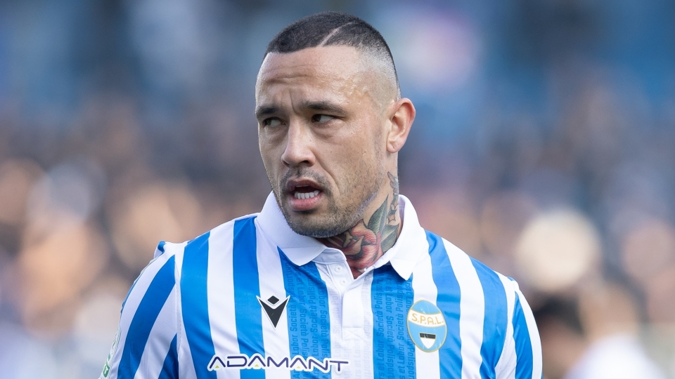 Radja Nainggolan