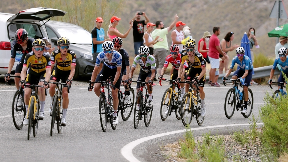 Roglic