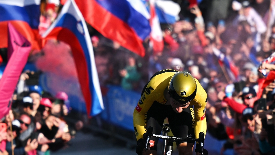 Roglic