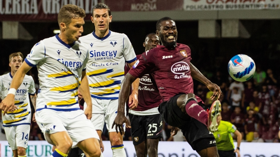 Salernitana, verona Salernitana, verona