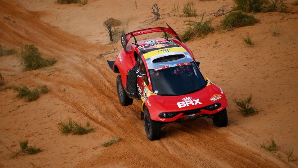 Sebastien Loeb