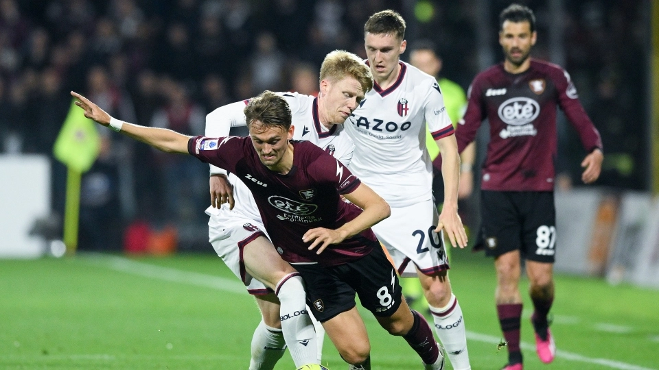 salernitana, bologna