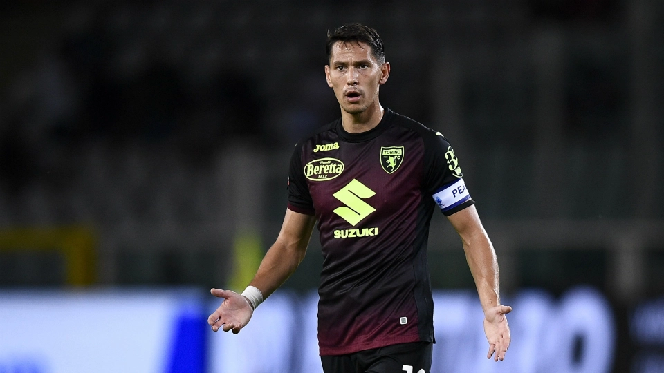 Sasa Lukic Torino